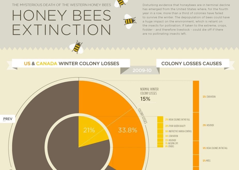 Honey Bees, Bees, Honey, Bee Extinction, Honey Bee Extinction, BumbleBars