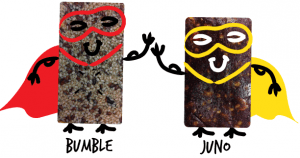 BumbleBar, BumbleBars, JunoBar, JunoBars