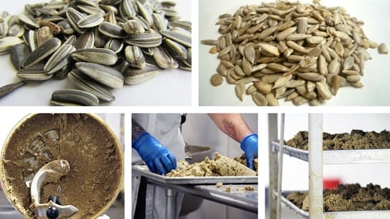 Nutrient Dense Simple Sunflower Seeds, Sunflower Seeds, Shelled Sunflower Seeds, BumbleBar