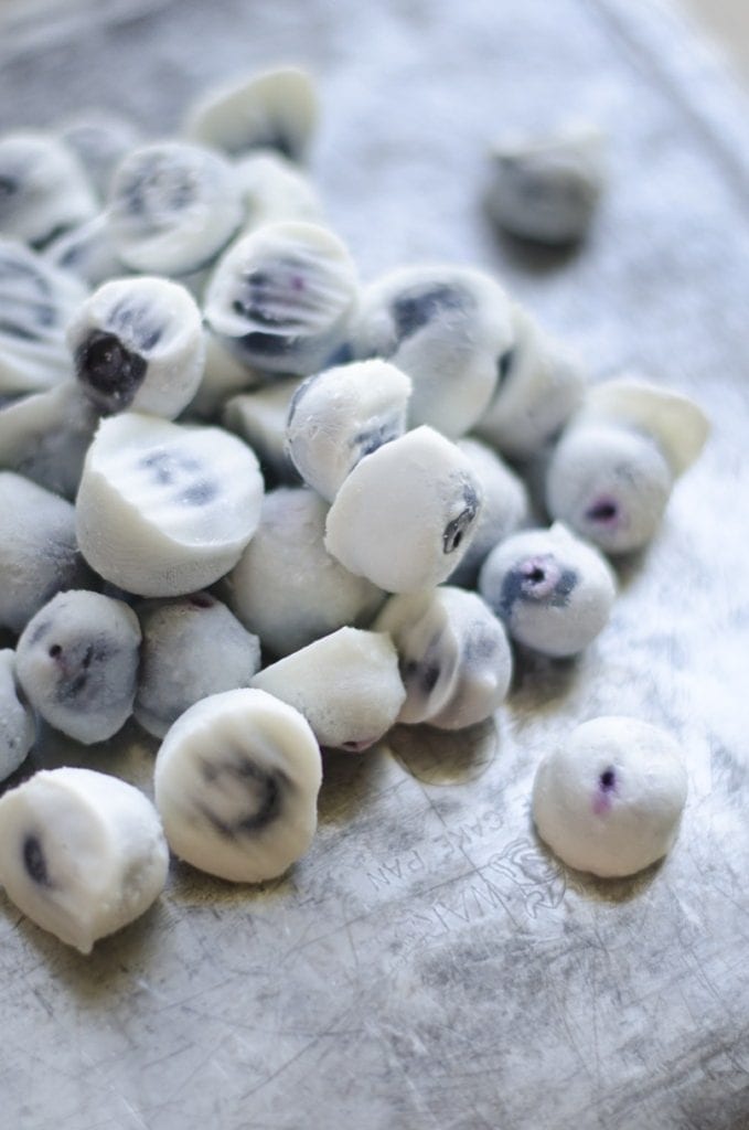 Frozen Blueberries, Blueberries, Blueberry, Frozen Blueberry Yogurt Bites, Blueberry Yogurt, BumbleBar