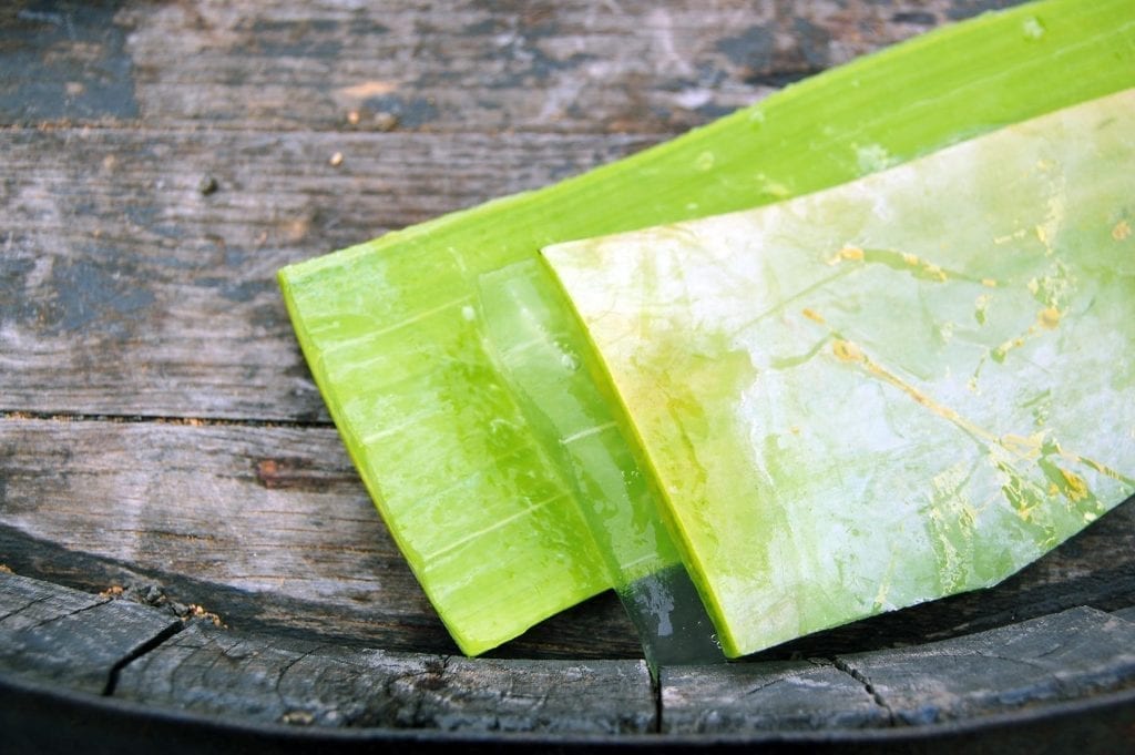 Aloe Vera Leaf, BumbleBar, Cold and Flu Remedies