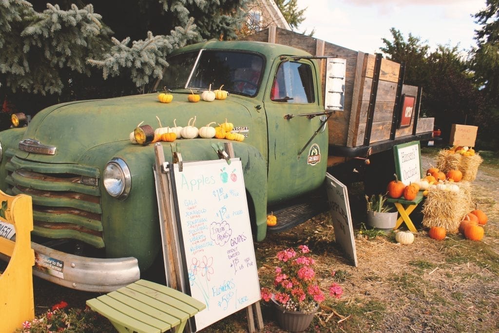 Green Bluff, Hansen's Green Bluff Apple Orchard, Spokane, Washington, PNW, Apples, Apple Picking