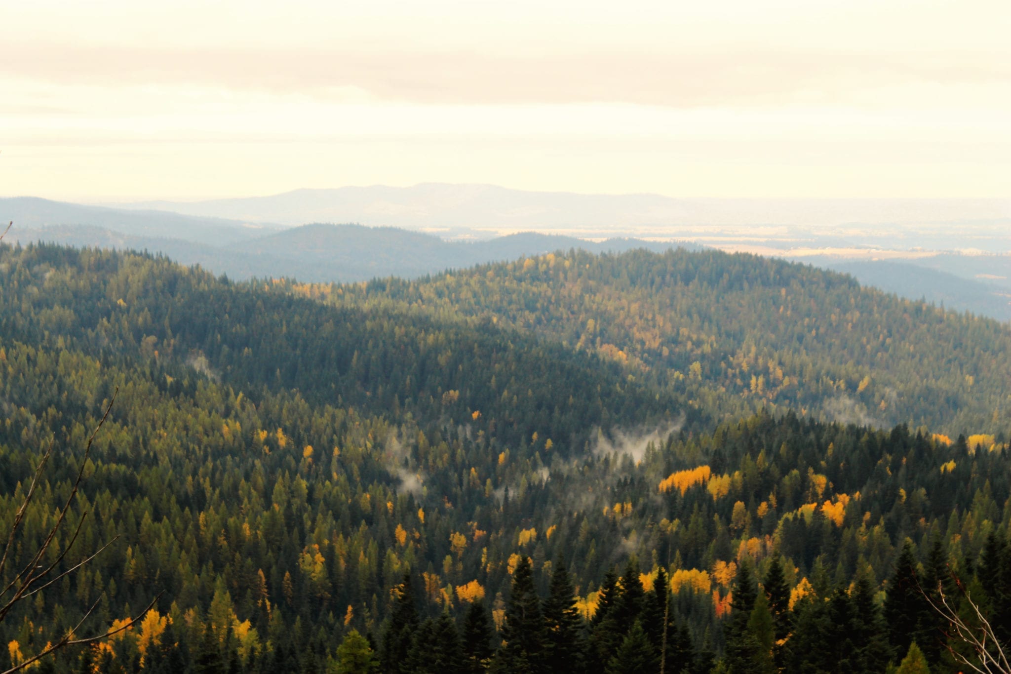 Mount Spokane, Washington, Spokane, Spring, Quartz Mountain, BumbleBar, WA, PNW