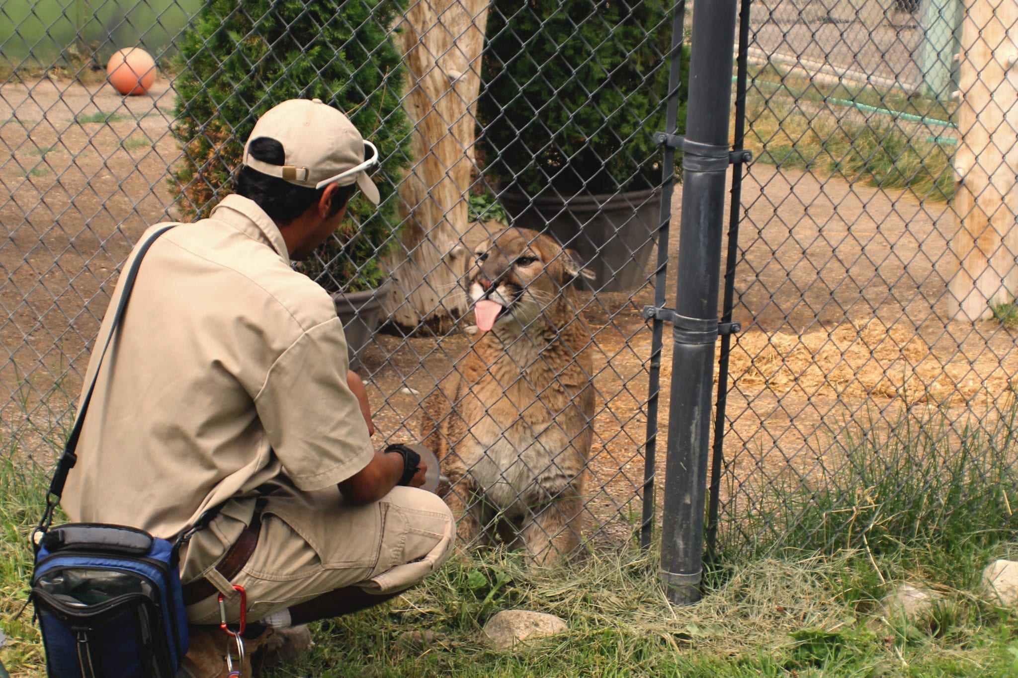 Spokane, Washington, WA, Wonderland, Put-Put Golfing, Go-Karting, Washington, Spokane, BumbleBar, WA, PNWPNW, West is Best, BumbleBar, Cat Tales Zoological Park, Cat Tales, Big Cats, Bob Cat, Zoo