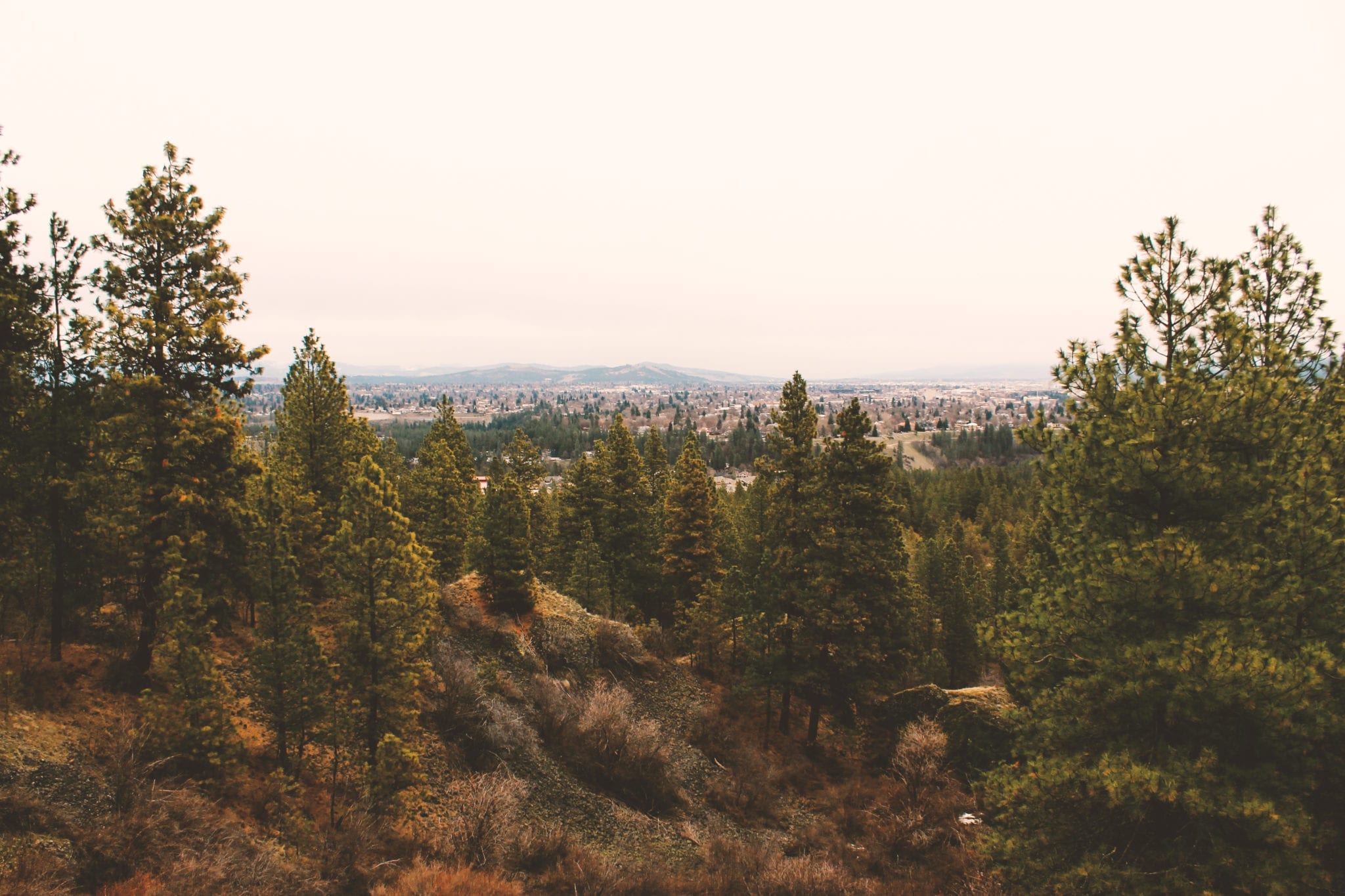 Palisades, Palisades Park Washington, Spring, Spokane, BumbleBar, WA, PNW, Hiking