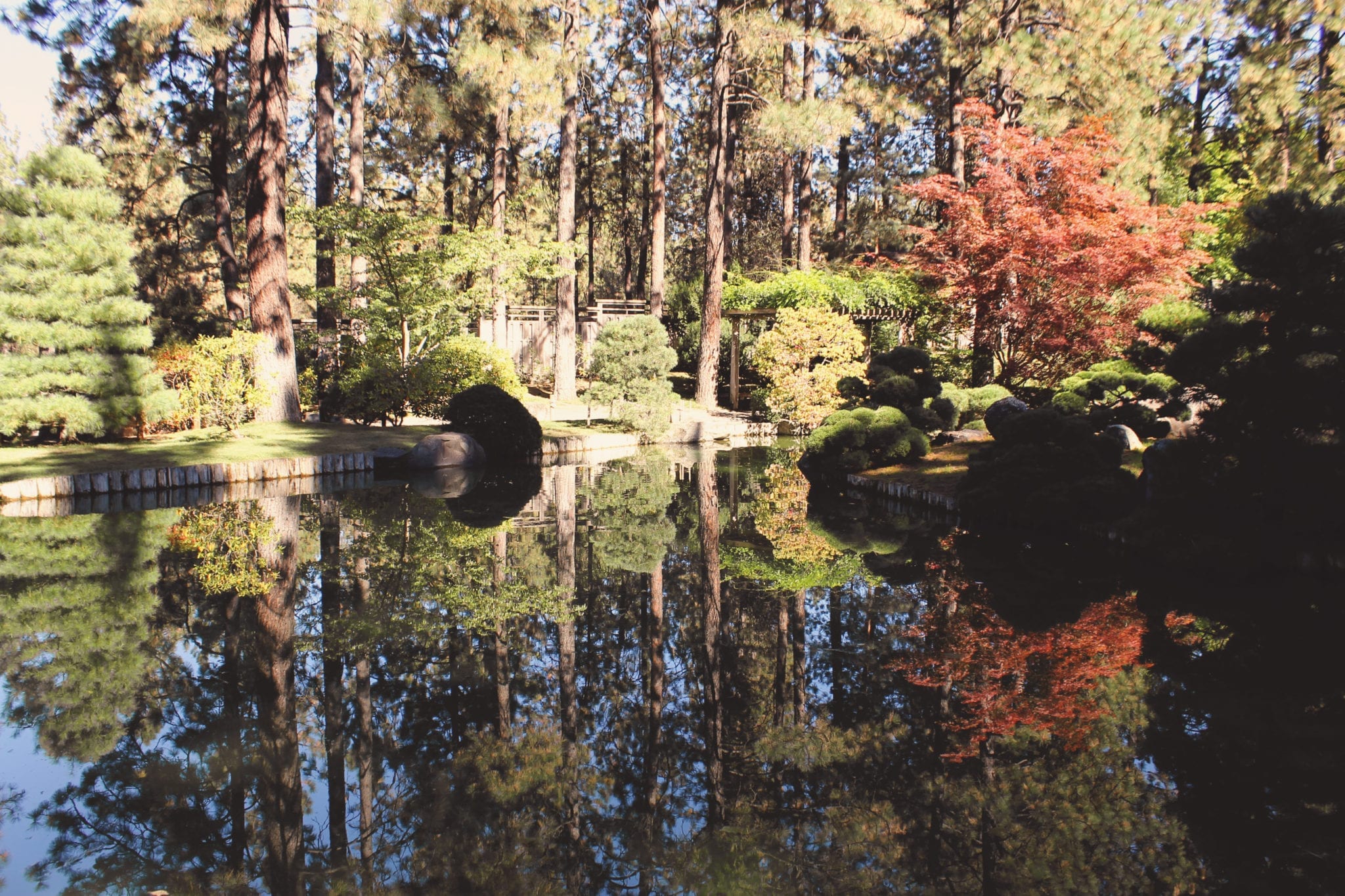 Manito Park, Washington, Spokane, Rose Hill Garden, Spring, BumbleBar, WA, PNW, Duncan Garden, 