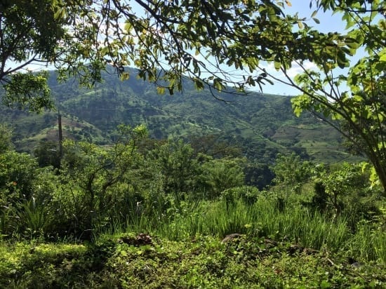 The greenery of El Salvador.