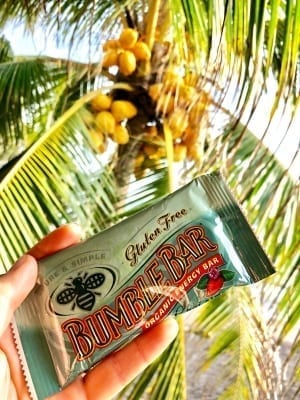 BumbleBar under a coconut tree in El Salvador.